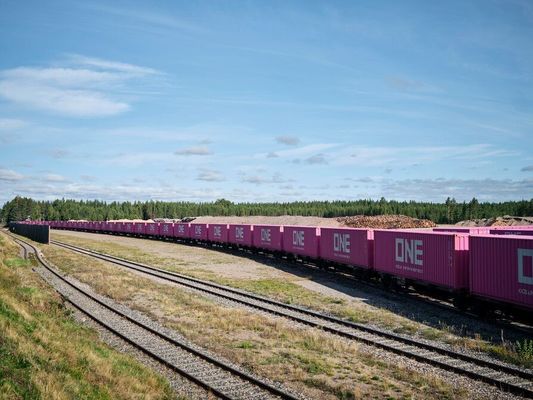 International DDP Train Freight Shipping In 35 - 45 Days Transit Time